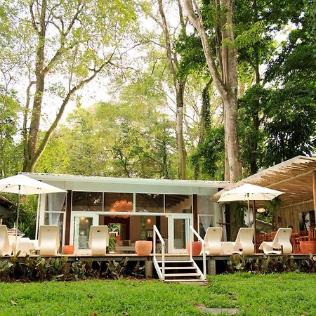 Gigi Brown Villa Frida Beachfront Puerto Viejo de Talamanca 외부 사진