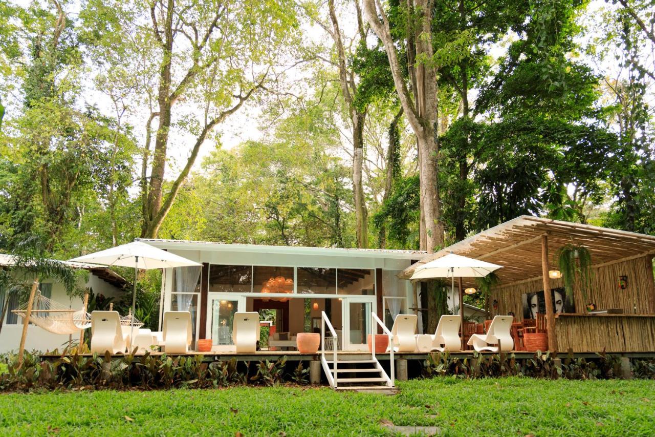 Gigi Brown Villa Frida Beachfront Puerto Viejo de Talamanca 외부 사진