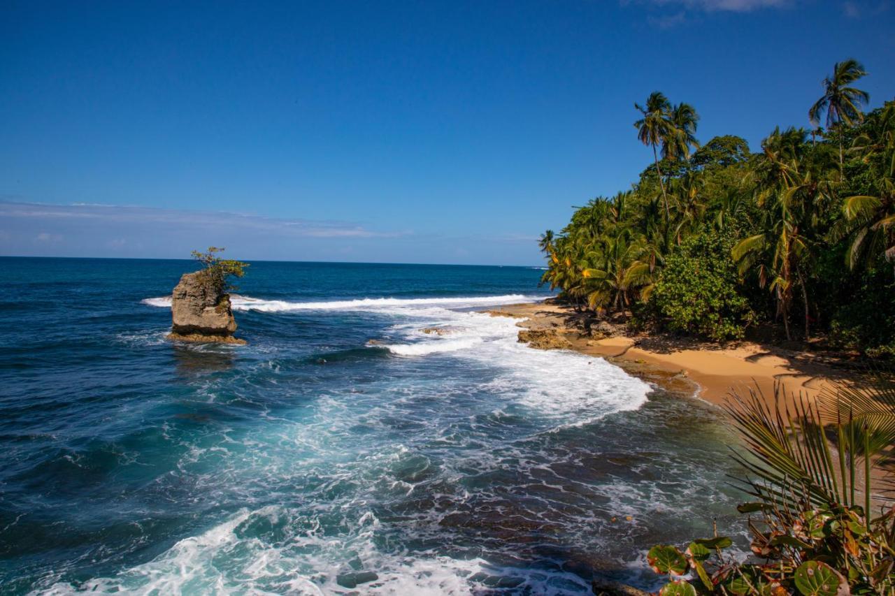 Gigi Brown Villa Frida Beachfront Puerto Viejo de Talamanca 외부 사진